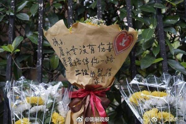 福利在线安卓版