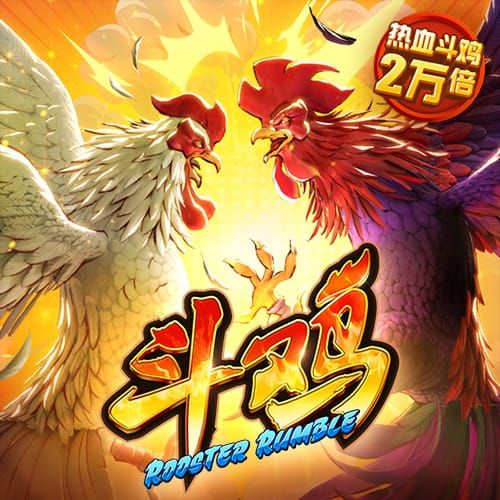 泰山队一天两练，洛佩斯融入球队参加训练